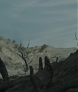 3560.jpg